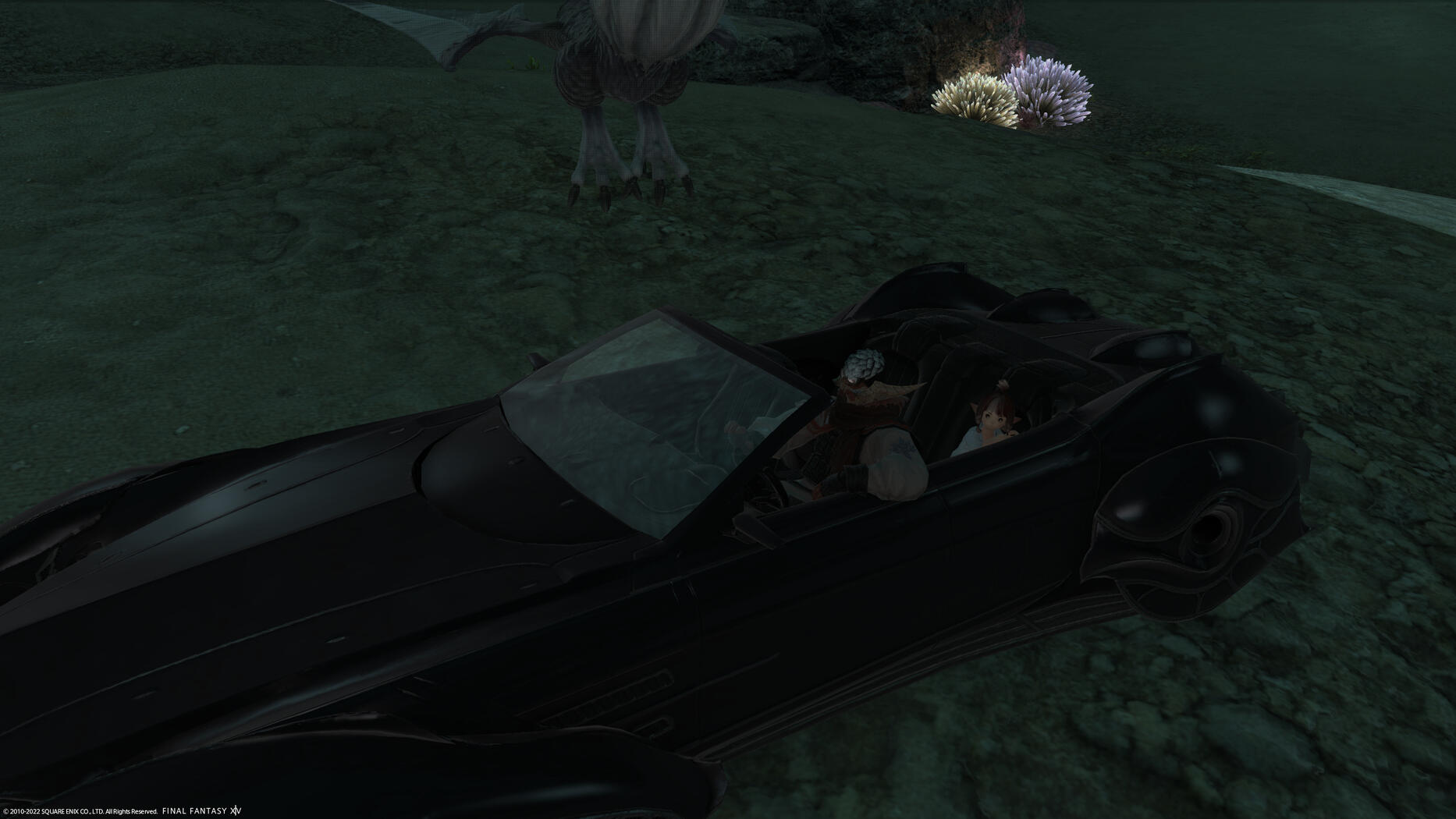 Myu&#39;mu Kagamyu 10